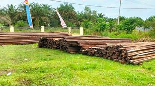 Aparat Polsek Teluk Meranti berhasil mengamankan 25 kubik kayu dari tiga warga Pelalawan (foto/int)